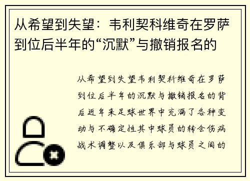 从希望到失望：韦利契科维奇在罗萨到位后半年的“沉默”与撤销报名的背后